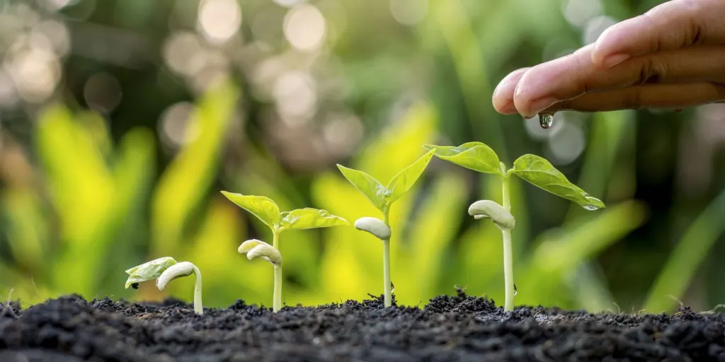Someone watering a plant seedling with their hand | grief counseling san francisco, ca | grief therapist in san francisco, ca | grief therapy in san francisco, ca | 94609 | 94061 | 94941